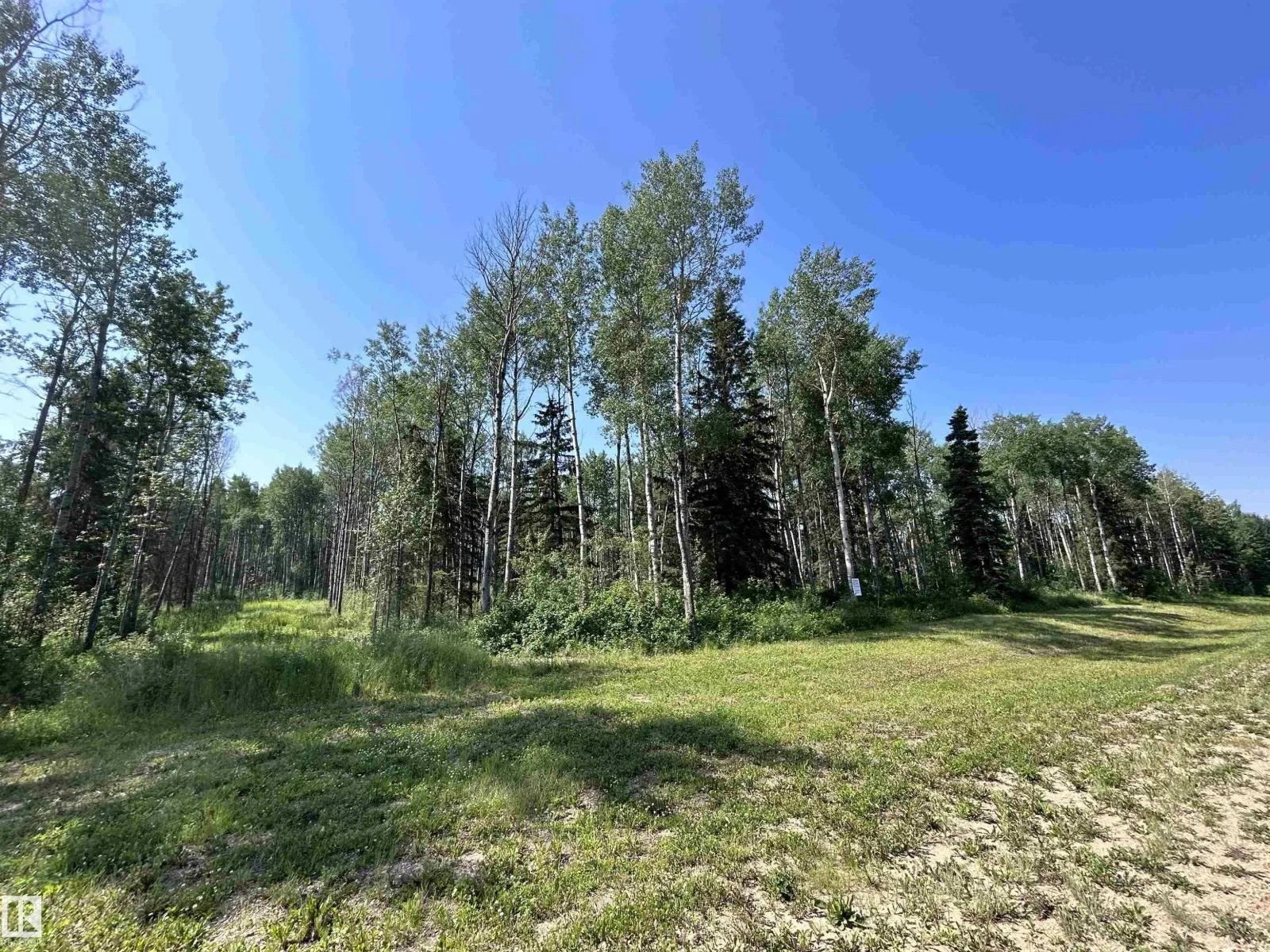 No Building for rent: Lot 3 Forest Road (rr 214), Rural Athabasca County, Alberta T9S 1C4