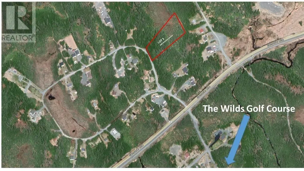 Lot 3 Fraser Sub-division, Forest Field Area /Salmonier Line, Newfoundland & Labrador A0A 2R0