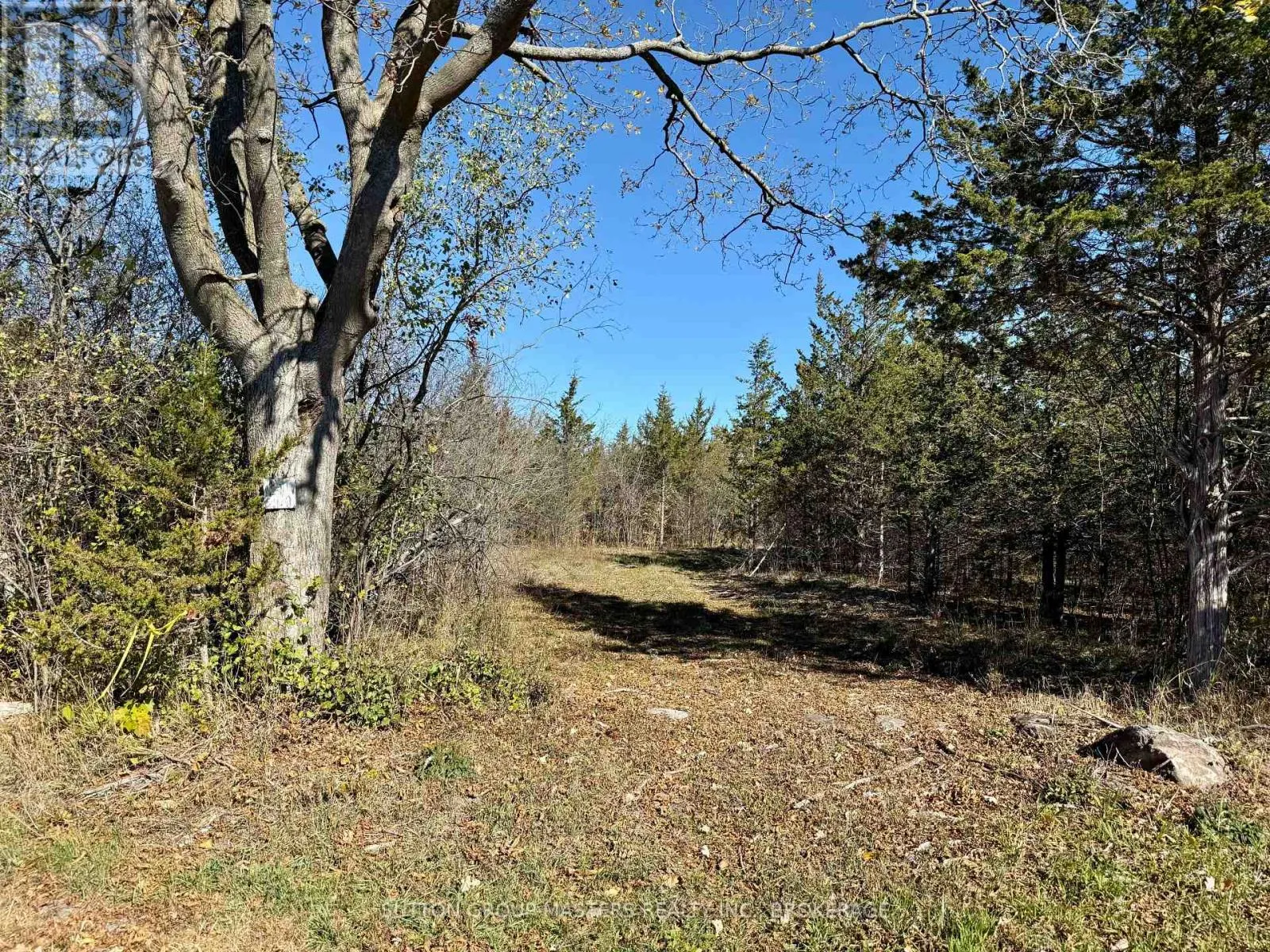 Lot 3 Galbraith Grove Road, Stone Mills, Ontario K0K 3N0