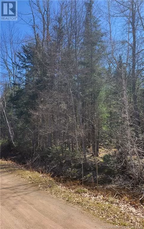 Lot 3 Hayesey Lane, Mill Cove, New Brunswick E4C 3G5