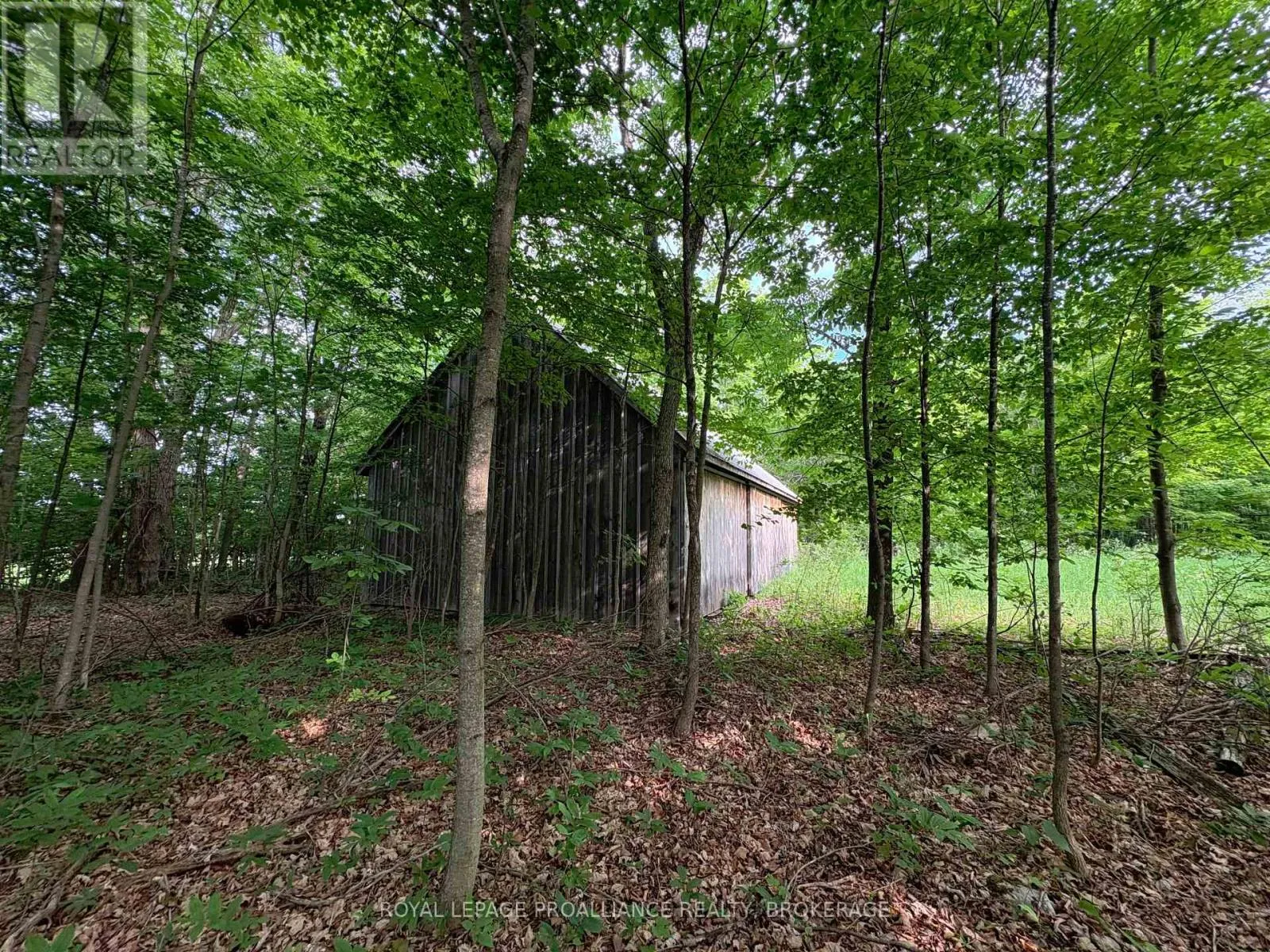 Lot 3 Jamieson Road, Frontenac, Ontario K0H 1V0