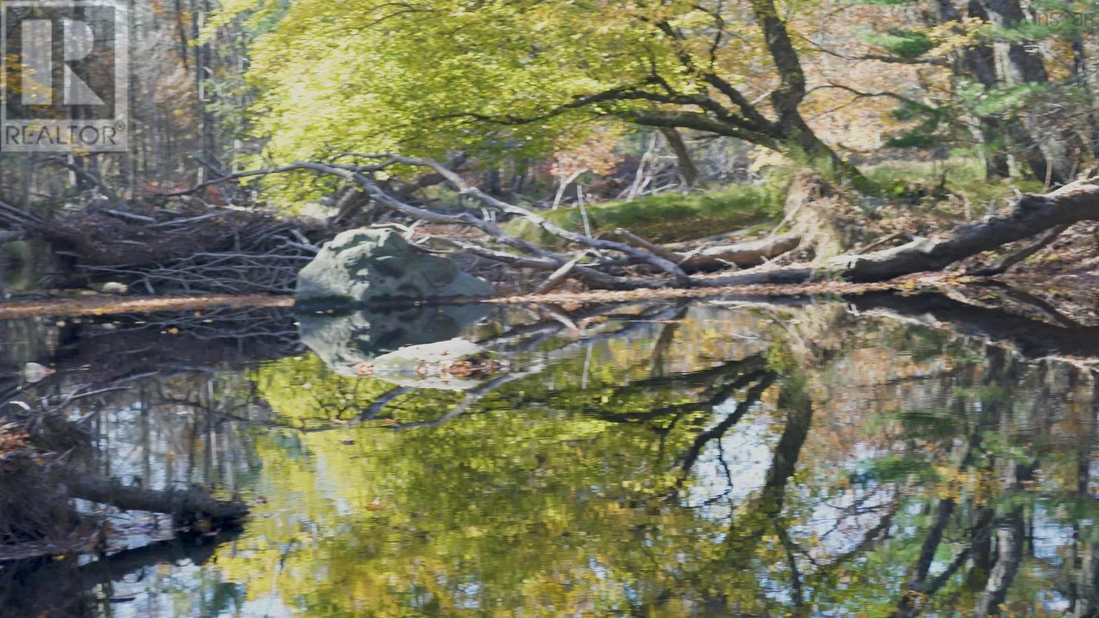 Lot 3 Maple Drive, Lower Ohio, Nova Scotia B0T 1W0