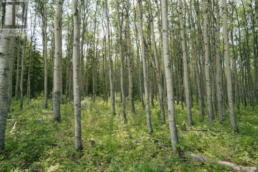 Lot 3, Range Road 84 Township Road 722, Wembley, Alberta T0H 2J0