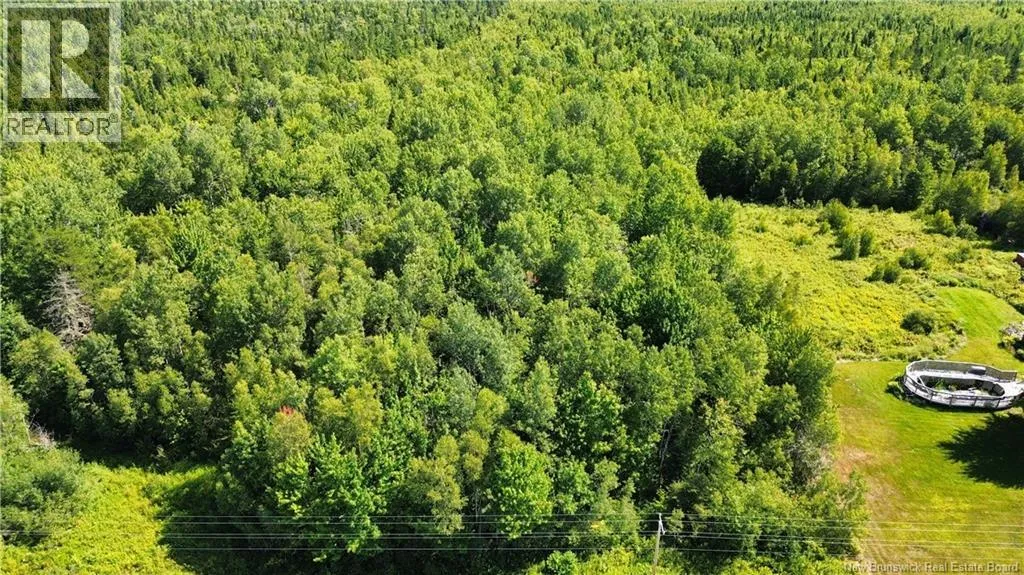 Lot 3 Route 126, Coal Branch, New Brunswick E4T 2J8