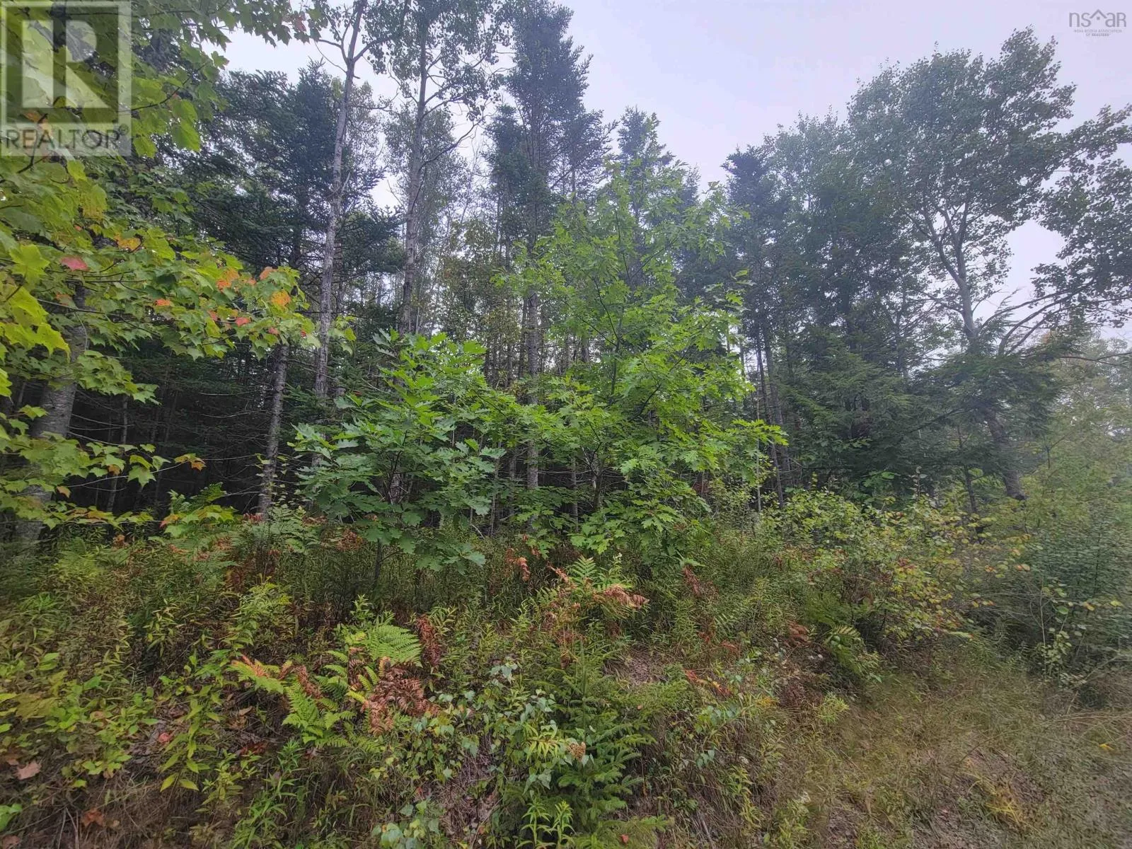Lot 3 Wilson Drive, Upper Rawdon, Nova Scotia B0N 2N0
