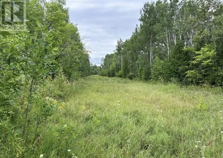 Lot 31 Cardwell Street, Manitowaning, Manitoulin Island, Ontario P0P 1N0