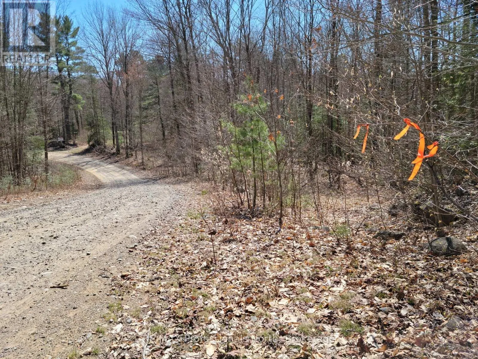 Lot 32 Concession 11, Huntsville, Ontario P1H 2J6