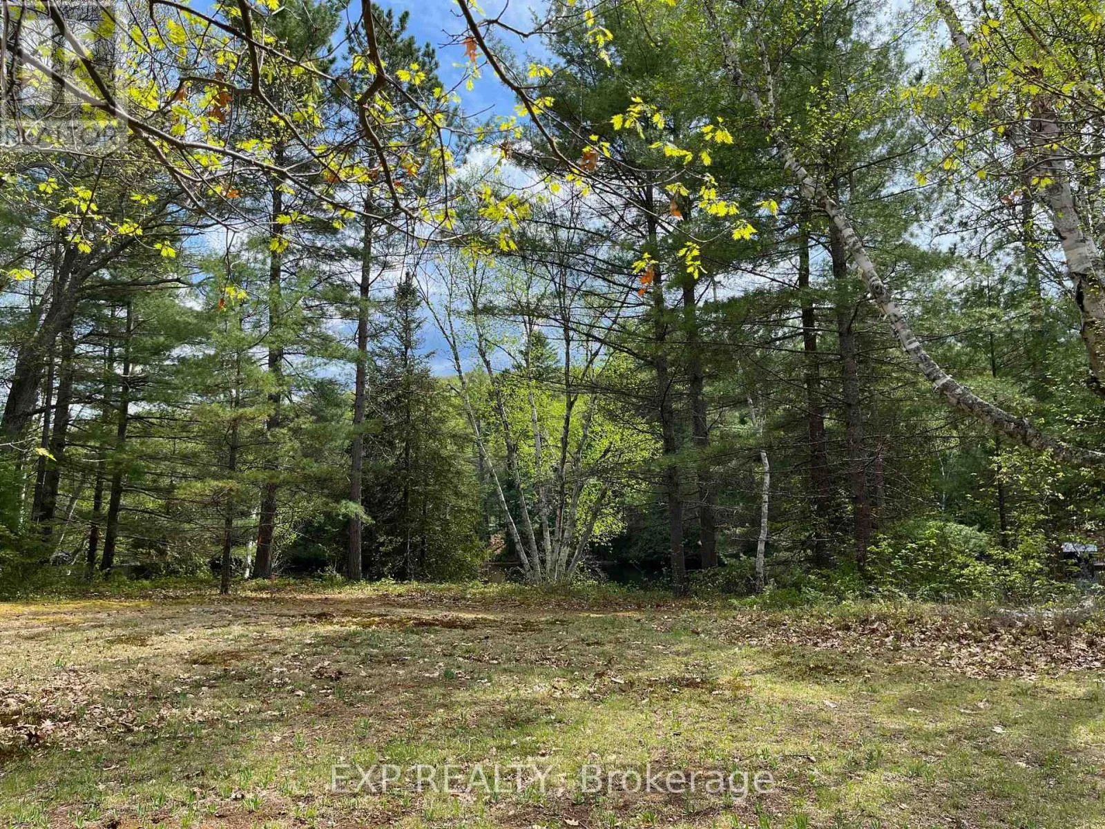 Lot 37 Sandy Shores Trail, Madawaska Valley, Ontario K0J 1B0