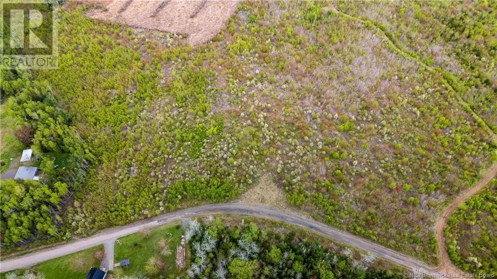 Lot 38 Davidson Road, Anagance, New Brunswick E4Z 1E1