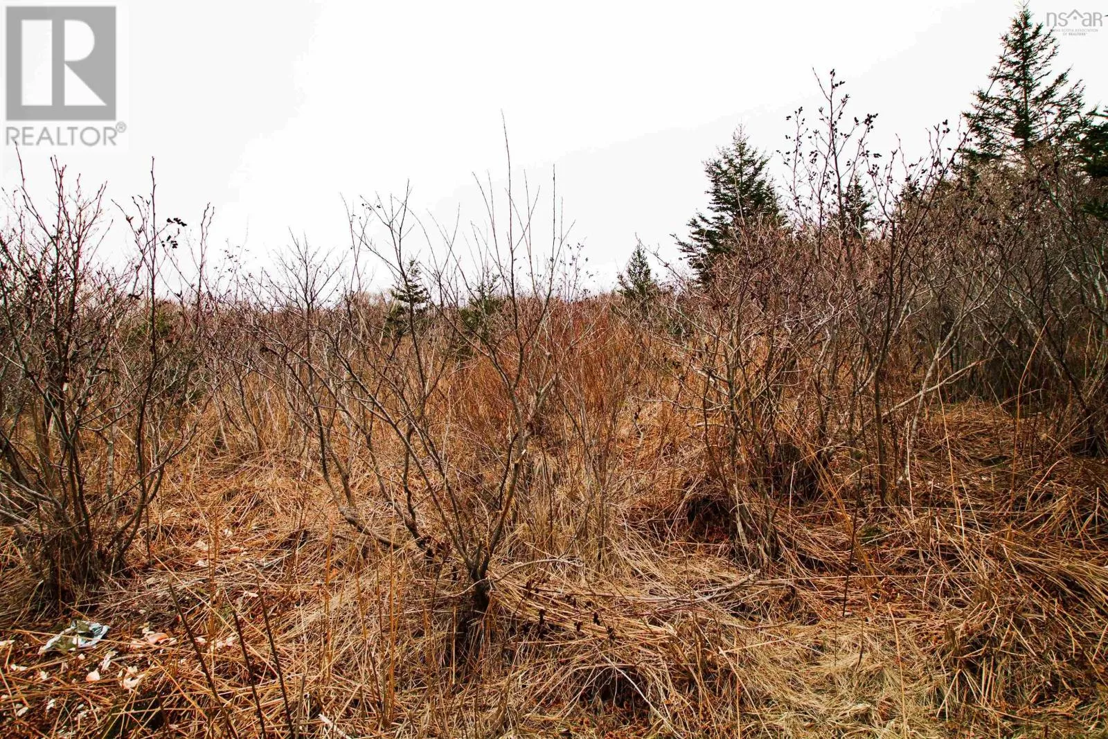 Lot 39 Quaco Road, Port Maitland, Nova Scotia B5A 5X5