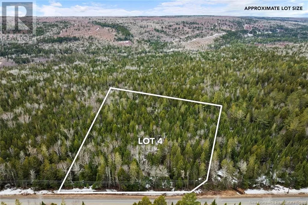 Lot 4 English Settlement Road, Taymouth, New Brunswick O0O 0O0