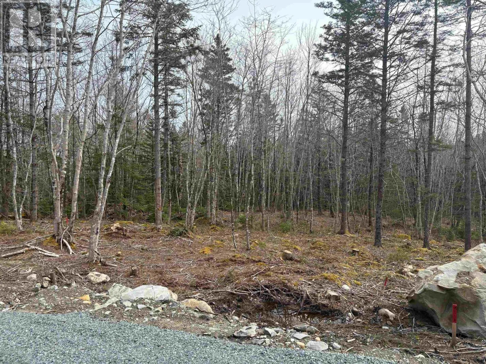 Lot 4 Larry Seldon Lane, Western Head, Nova Scotia B0T 1K0