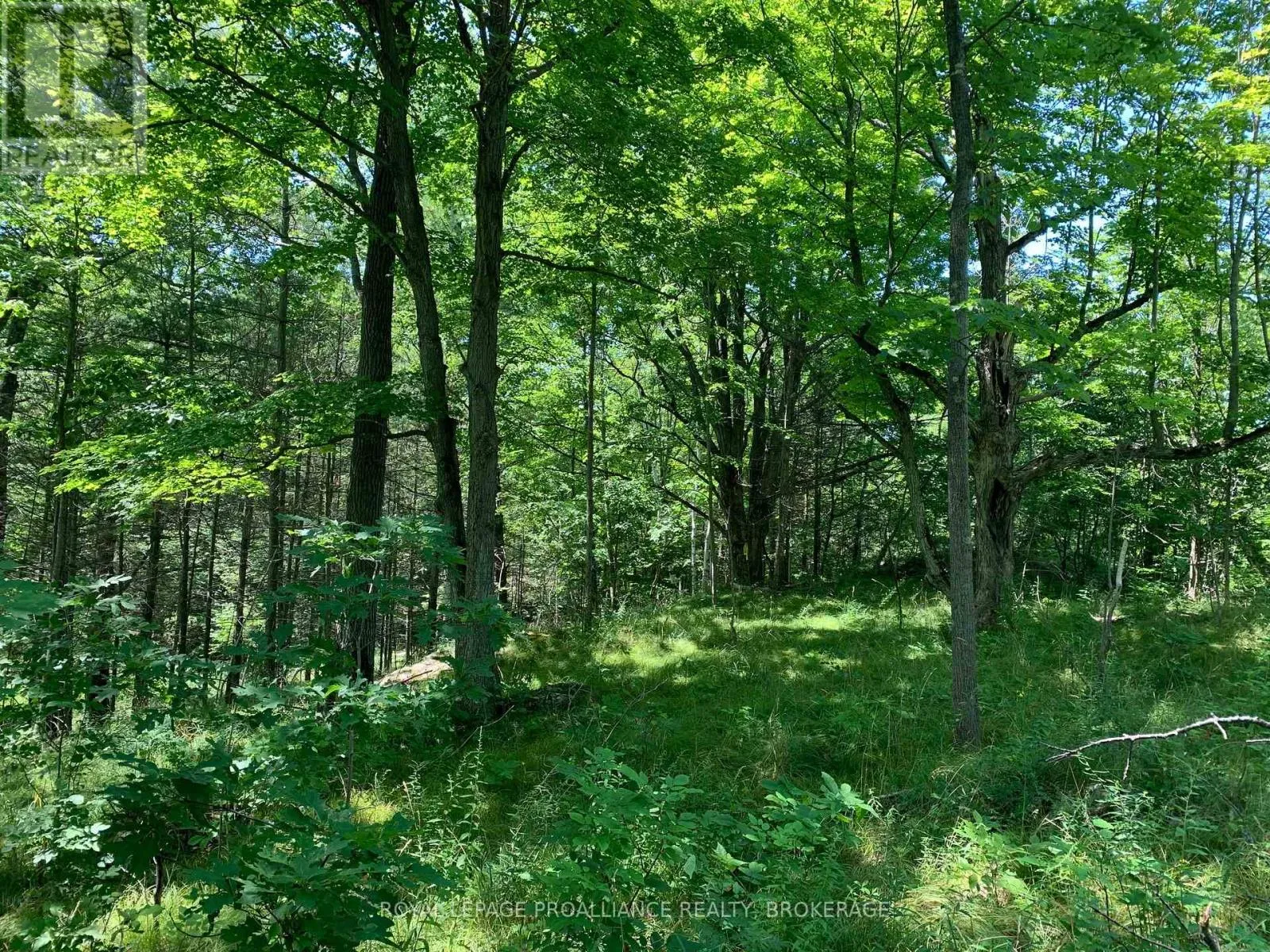 Lot 4 Leveque Road, South Frontenac, Ontario K0H 2W0