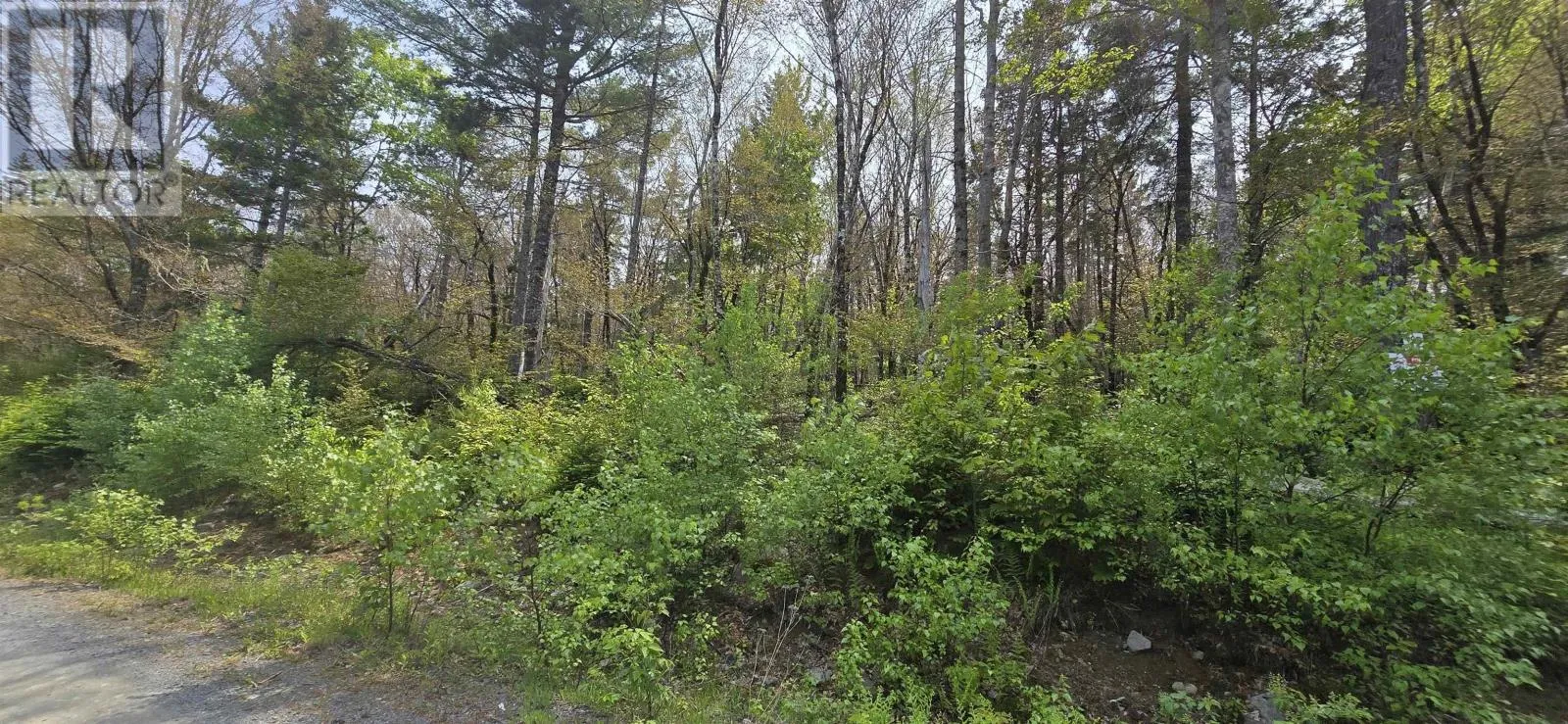 Lot 4 Nathan Croft Road|camperdown Meadows, Camperdown, Nova Scotia B4V 6T9