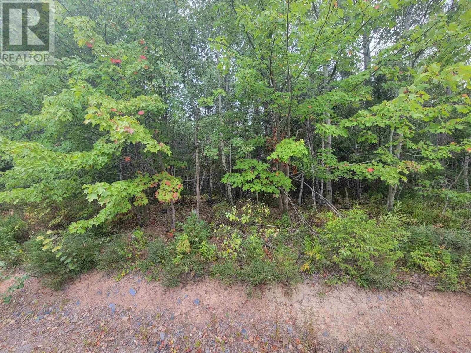 Lot 4 Wilson Drive, Upper Rawdon, Nova Scotia B0N 2N0