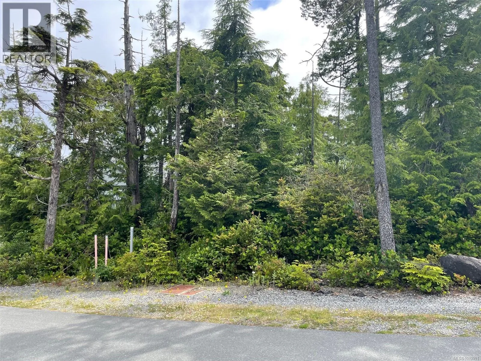 Lot 40 Cedar Grove Pl, Ucluelet, British Columbia V0R 3A0