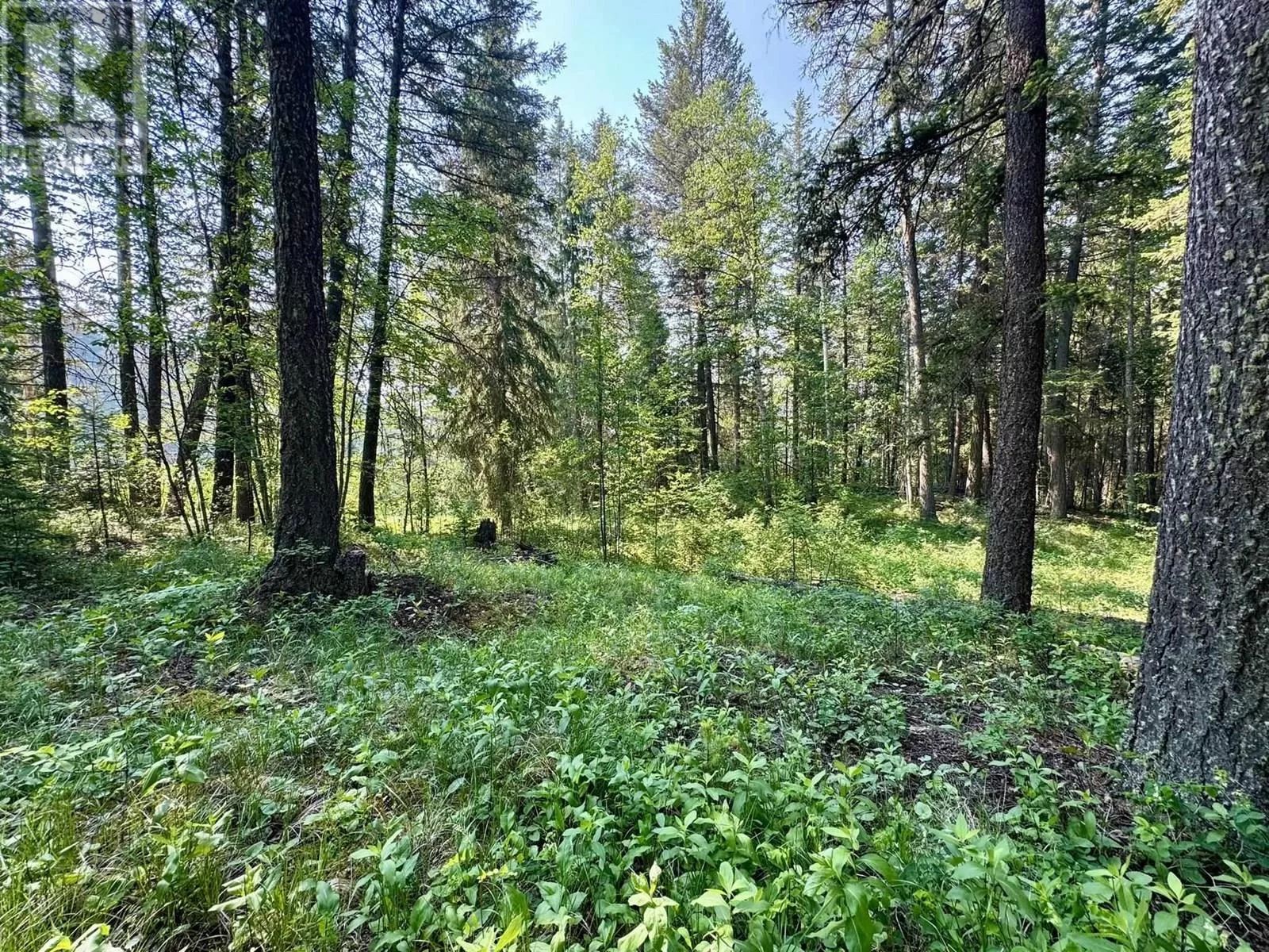 Lot 43 Rainbow Crescent, Canim Lake, British Columbia V0K 1J0