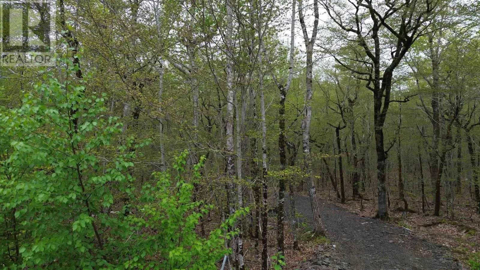 Lot 46 Turner Point Road, Walden, Nova Scotia B0J 2E0