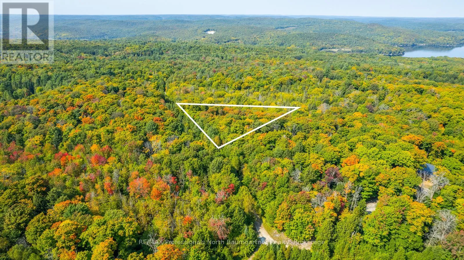 Lot 49 Basshaunt Lake Road, Dysart et al, Ontario K0M 1S0