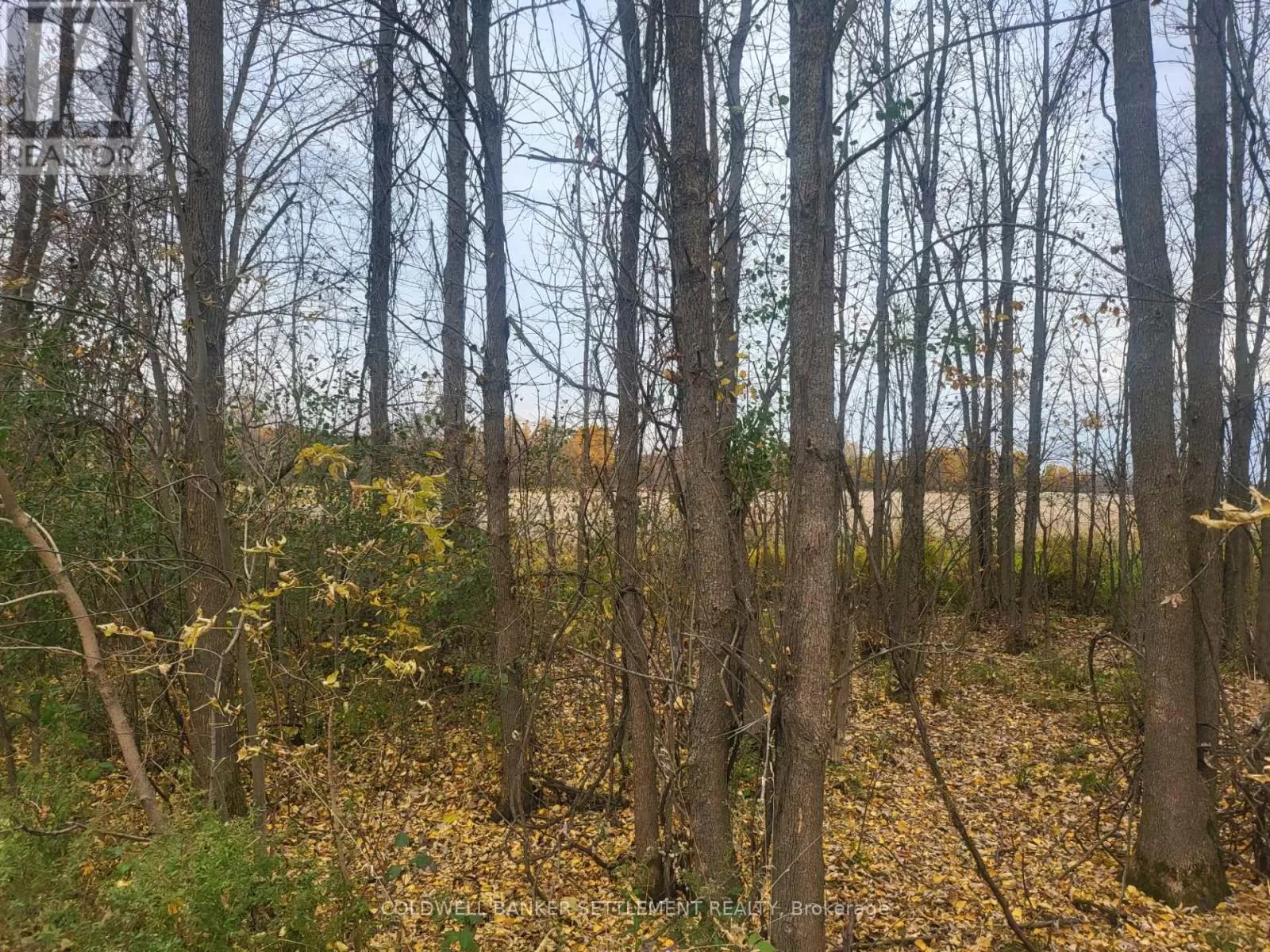 Lot 5 Bush Road, Rideau Lakes, Ontario K0G 1E0