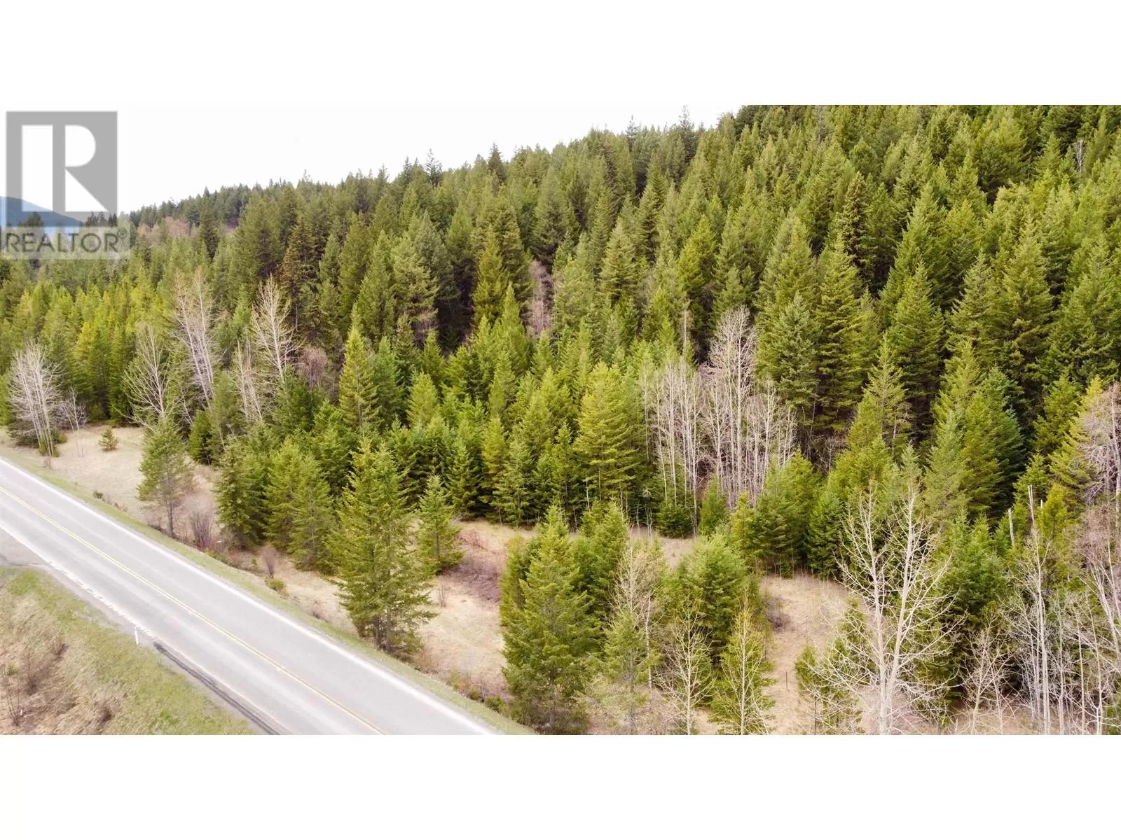 Lot 5 Canim Hendrix Lake Road, Canim Lake, British Columbia V0K 1J0