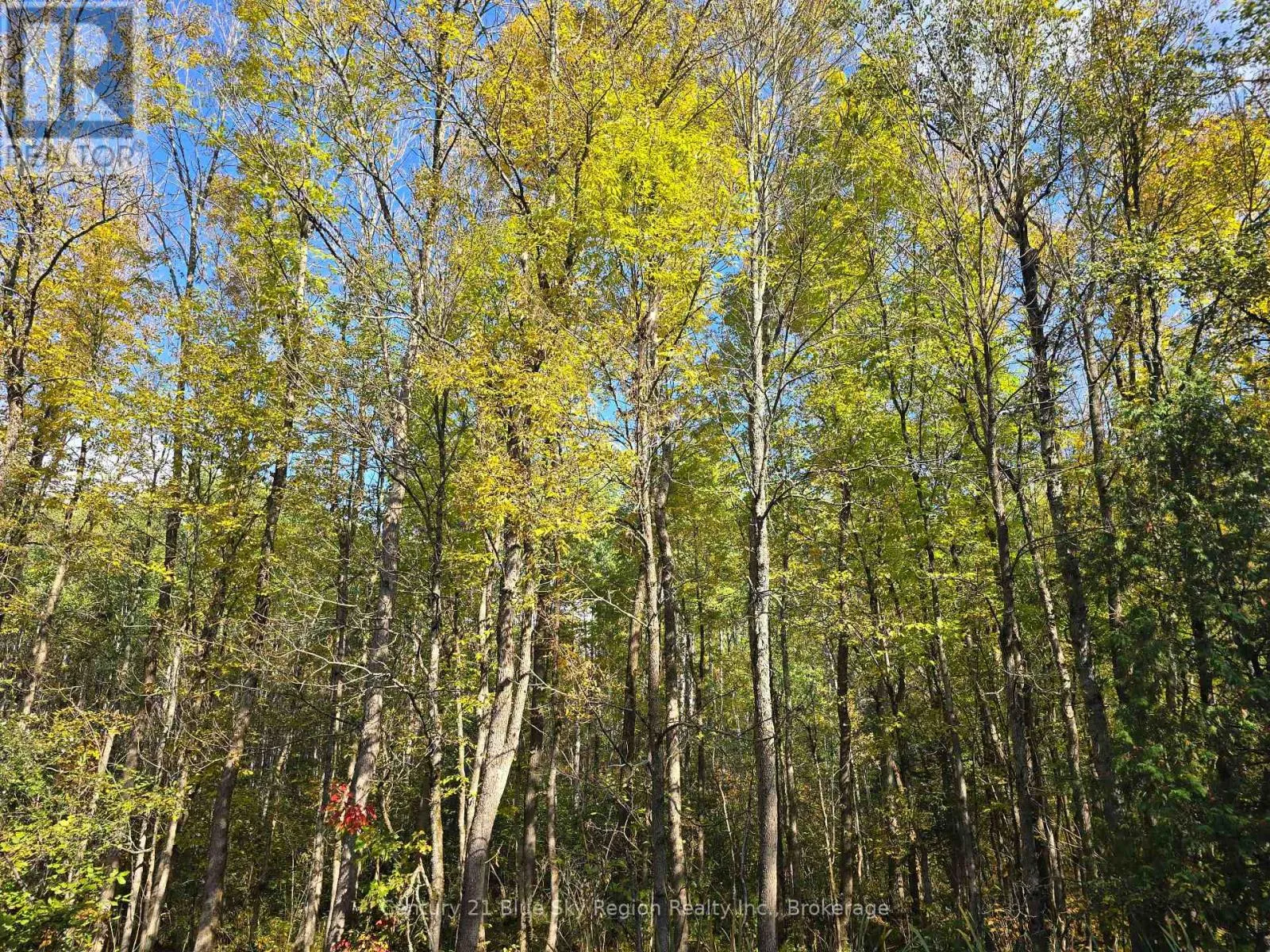 Lot 5 Con 3 Guillemette Road, West Nipissing, Ontario P0H 2C0