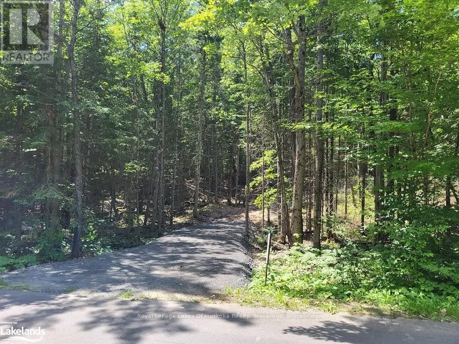 Lot 5 Fairy Falls Road, Lake of Bays, Ontario P0B 1A0