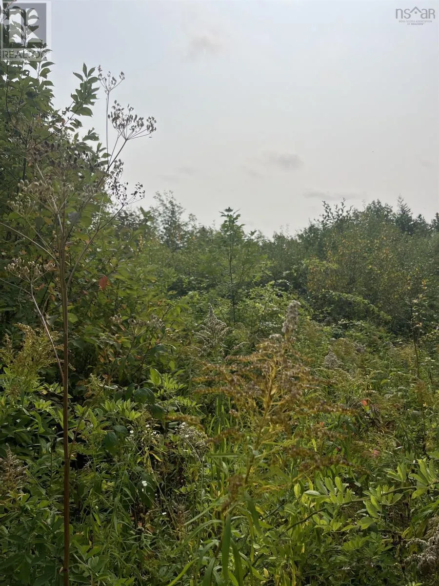Lot 5 Granville Road, Karsdale, Nova Scotia B0S 1A0