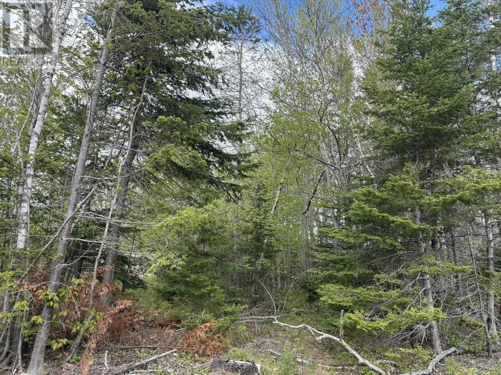 Lot 5 Highway 14, Upper Nine Mile River, Nova Scotia B2S 2Z3