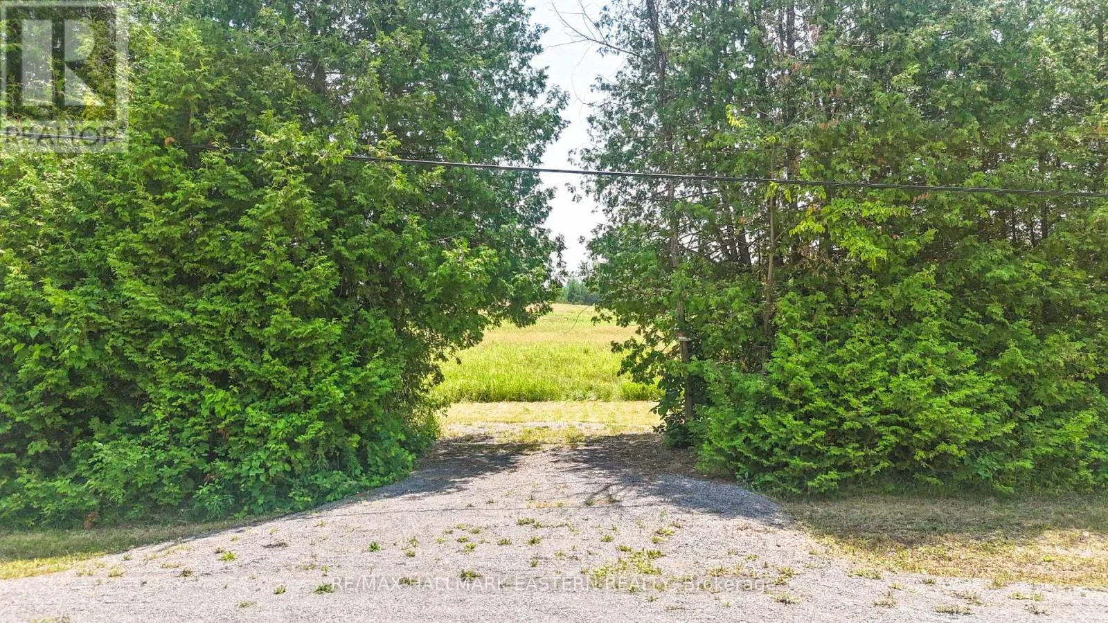 Lot 5 - N/a Con 10 Old Norwood Road, Havelock-Belmont-Methuen, Ontario K0L 1Z0