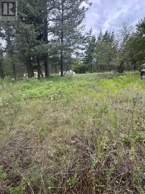 Other for rent: Lot 53 Hirtz Street, Elko, British Columbia V0B 1T3