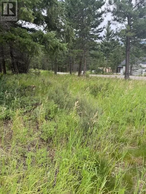 Other for rent: Lot 56 Charles Street, Elko, British Columbia V0B 1T3