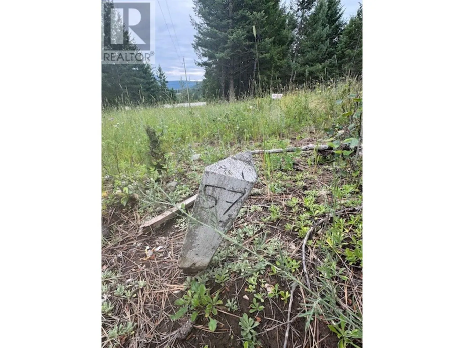Other for rent: Lot 57 Charles Street, Elko, British Columbia V0B 1T3