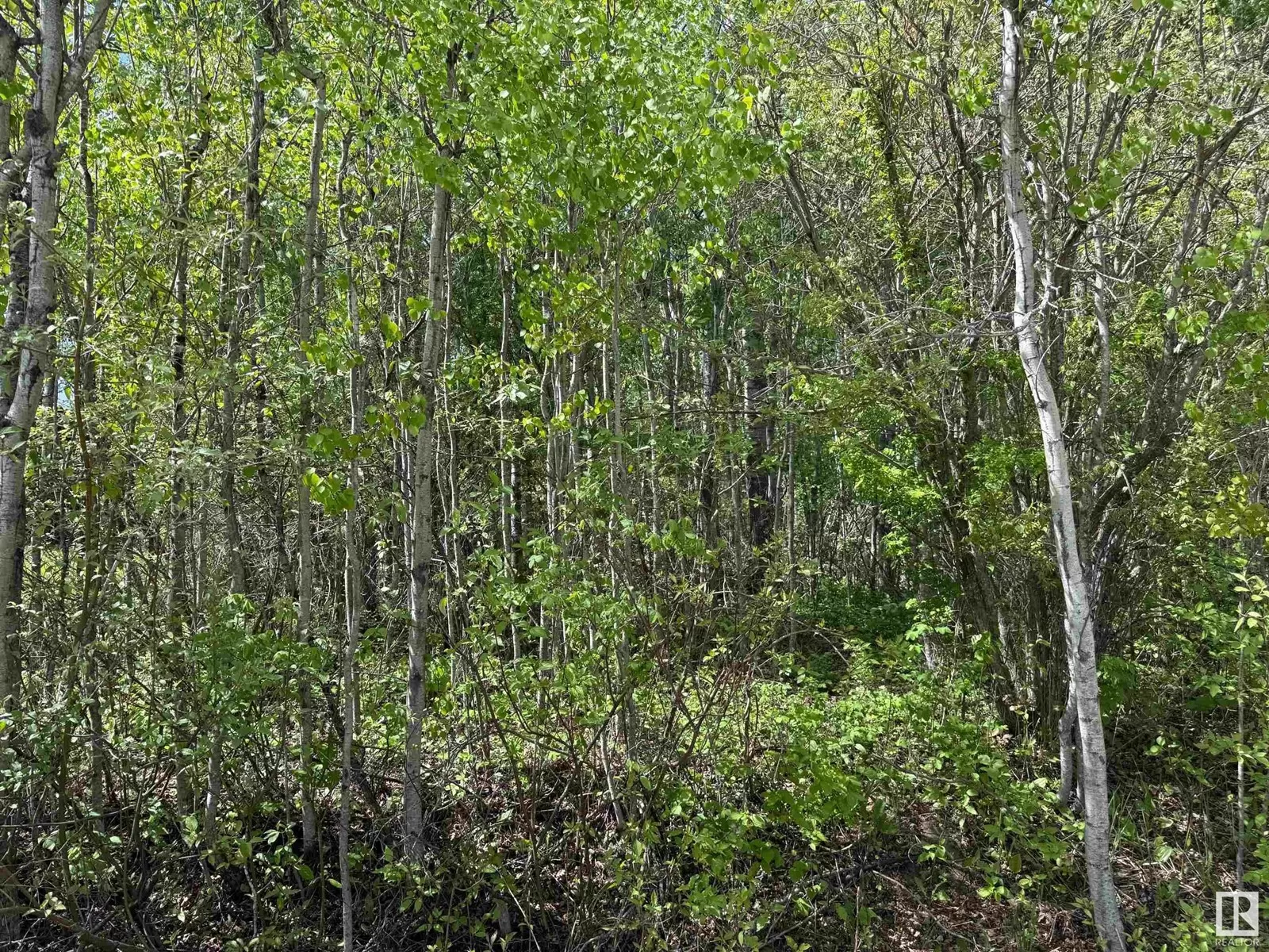 No Building for rent: Lot 6 Baptiste Dr, Rural Athabasca County, Alberta T9S 1R8