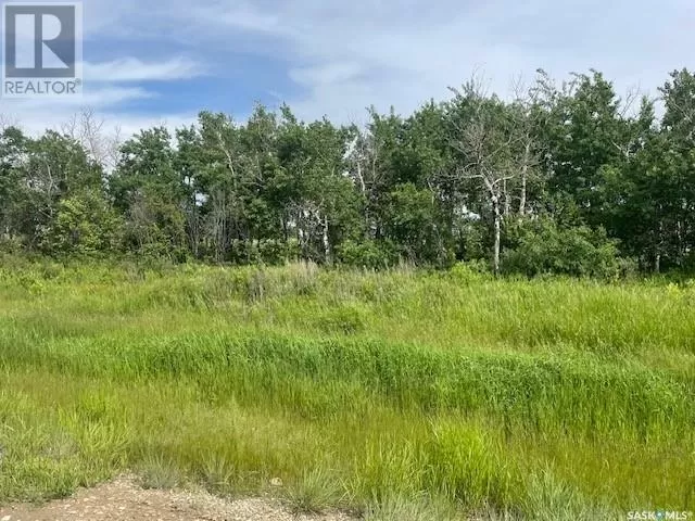 Unknown for rent: Lot 6 Viceroy Road, North Battleford Rm No. 437, Saskatchewan S9A 0S6