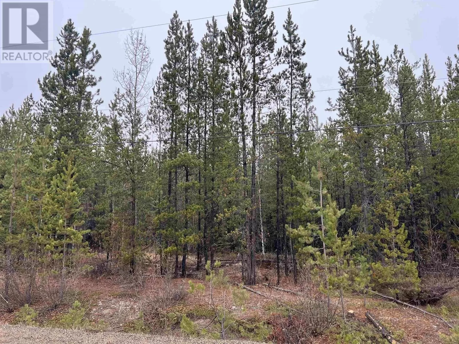 Lot 65 Robertson Road, Prince George, British Columbia V0J 3A3