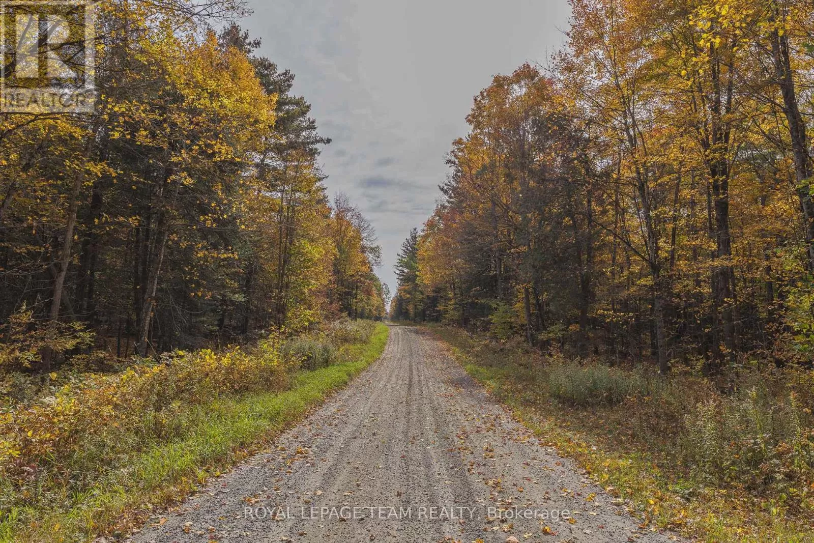 Lot 7 10th Concession B Road, Lanark Highlands, Ontario K0A 1A0