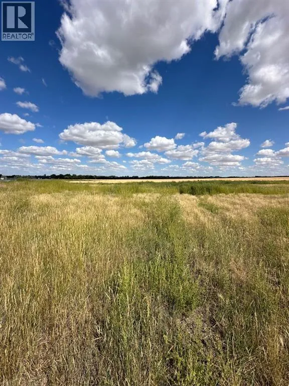 Lot 7, 12003 Range Road 60a, Rural Cypress County, Alberta T1A 0H5