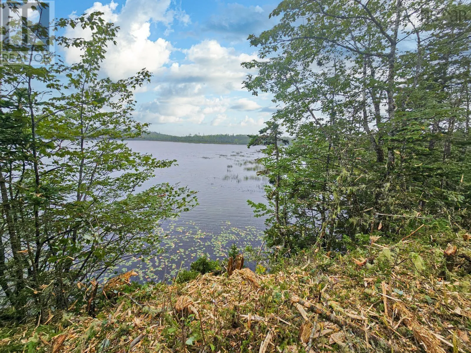 Lot 7 Dark Pond Lane, West Petpeswick, Nova Scotia B0J 2L0