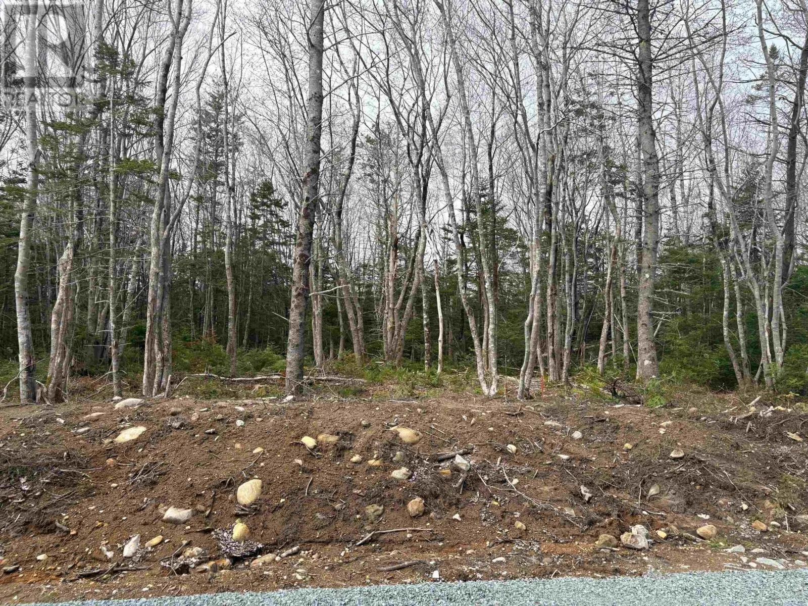 Lot 7 Larry Seldon Lane, Western Head, Nova Scotia B0T 1K0
