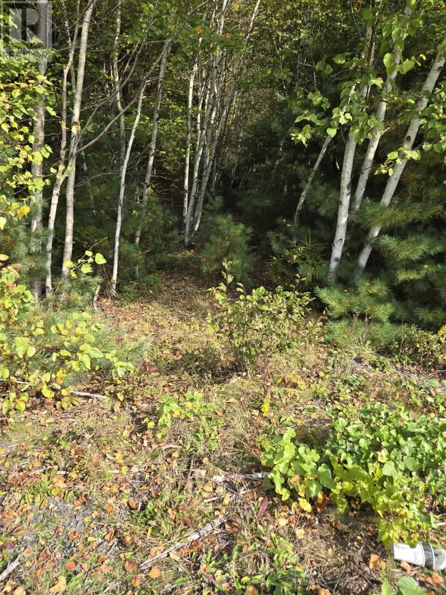 Lot 7 Lower Branch Road, Lower Branch, Nova Scotia B4V 4M1