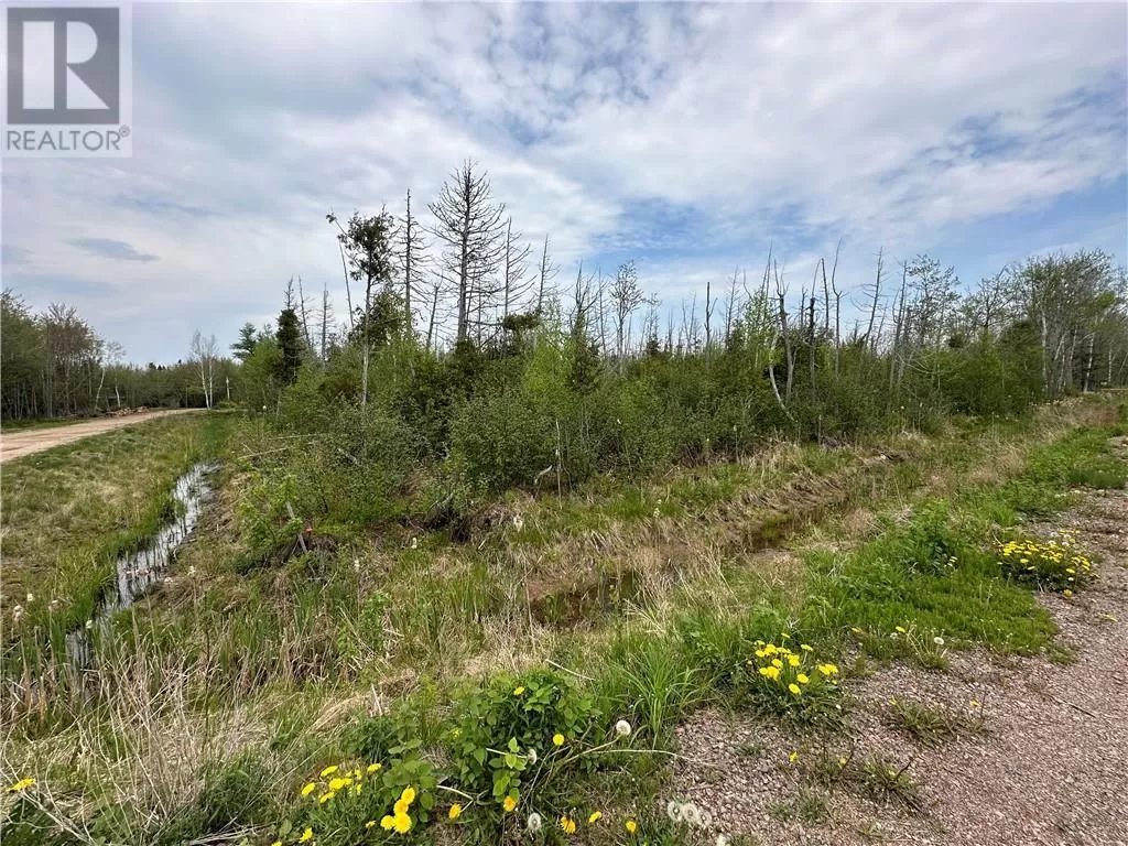 Lot 75-11 Gite, Grand-Barachois, New Brunswick E4P 7V6