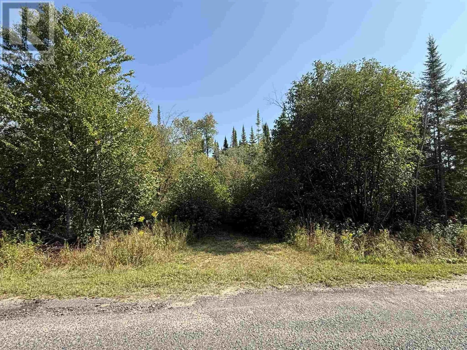 Lot 77 Lakeshore Dr S, Dennis Township, Ontario P6A 5K8
