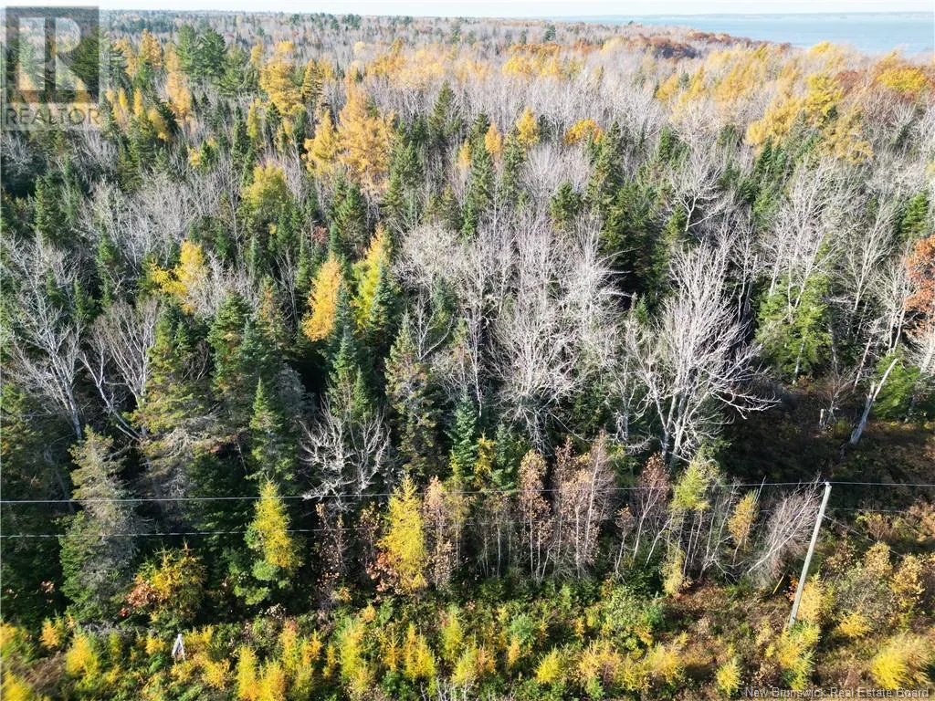 Lot 79-19 Morton Lane, Cumberland Bay, New Brunswick E4A 3J3