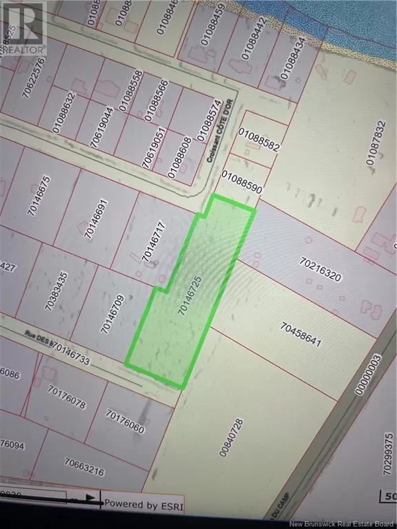 Lot 79-8 Des Bleuets Street, Trois Ruisseaux, New Brunswick E4N 2T5