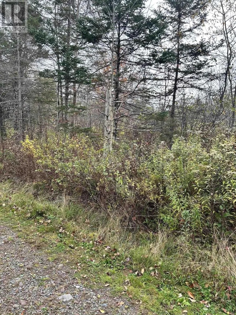 Lot 8 Guysborough Road, St Andrew's, Nova Scotia B0H 1X0