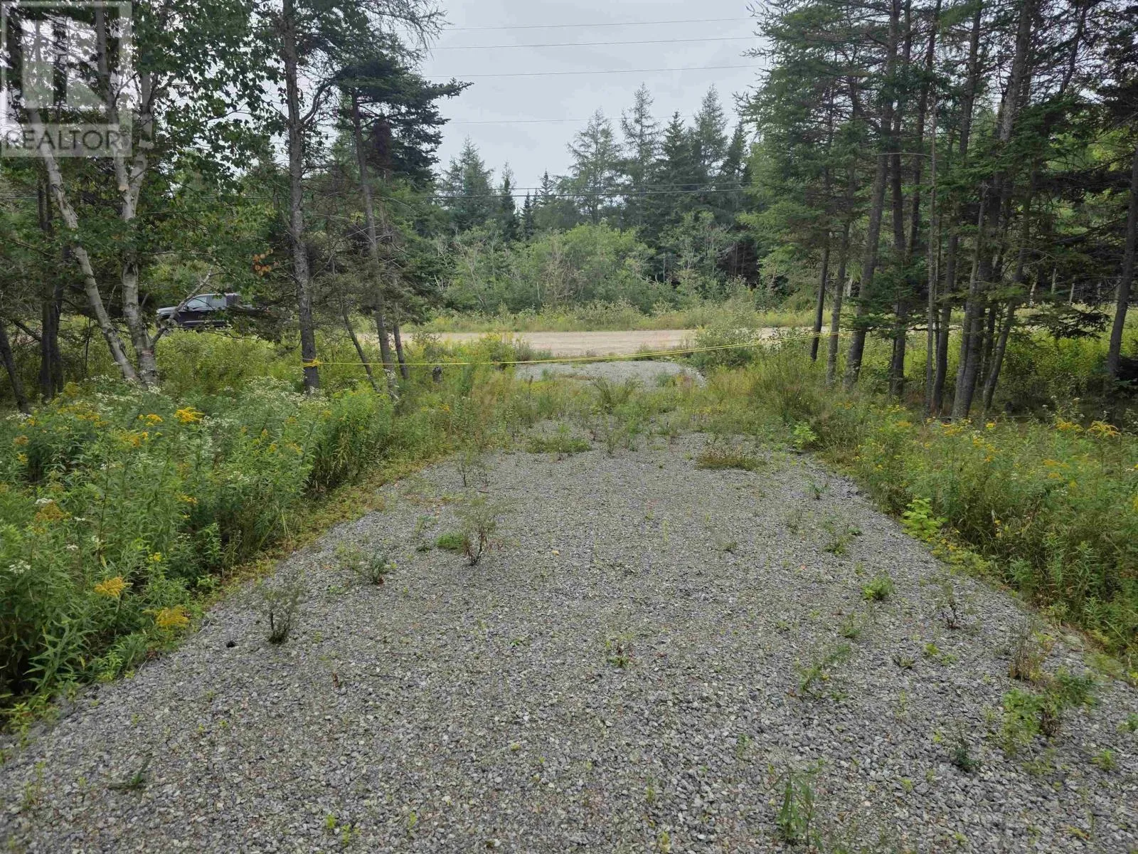 Lot 8 Mountain Road, River Tillard, Nova Scotia B0E 2X0