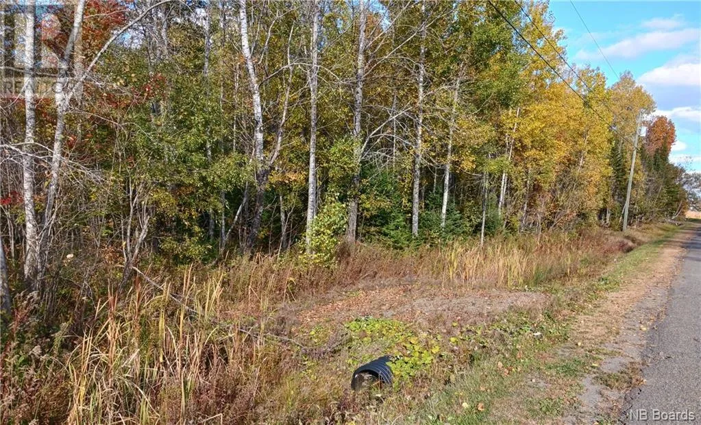 Lot 87-65 Beatty Drive, Lower Woodstock, New Brunswick E7M 4E6