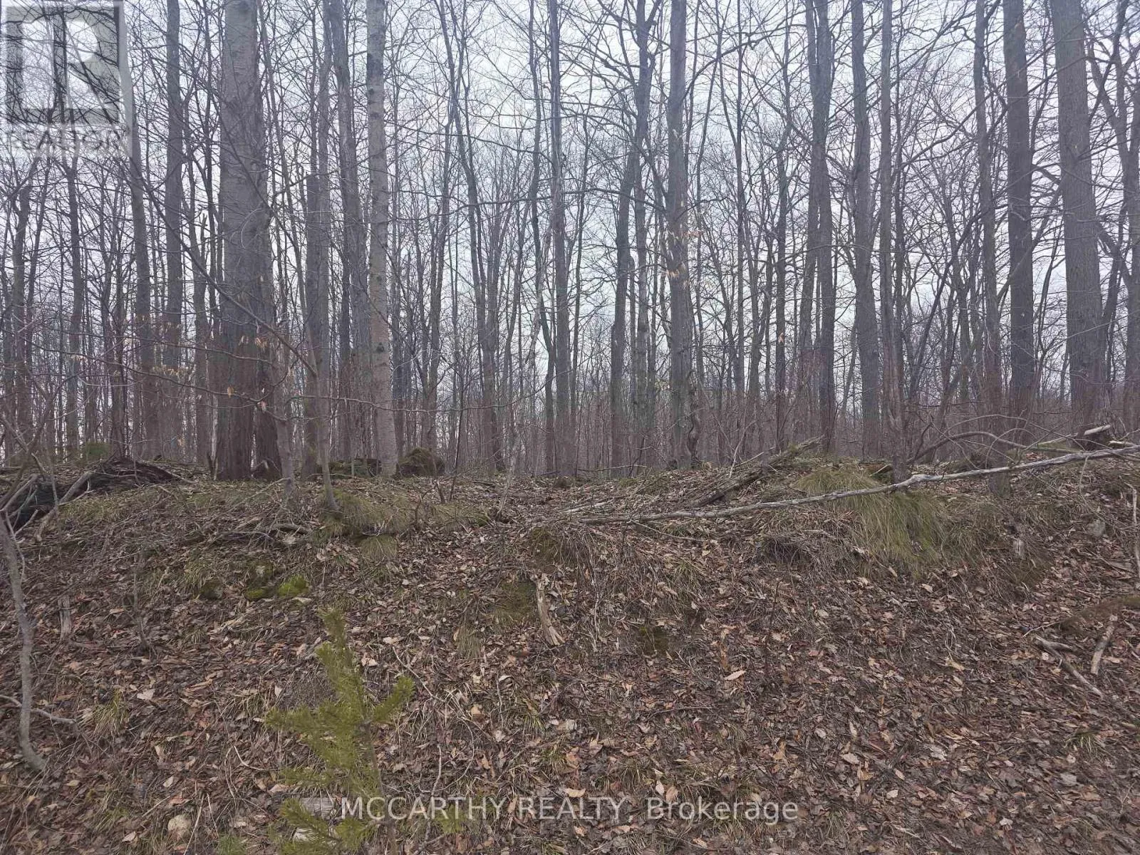 Lot  9 Pt Lt 25, Con Rd 8, West Grey, Ontario N0C 1H0