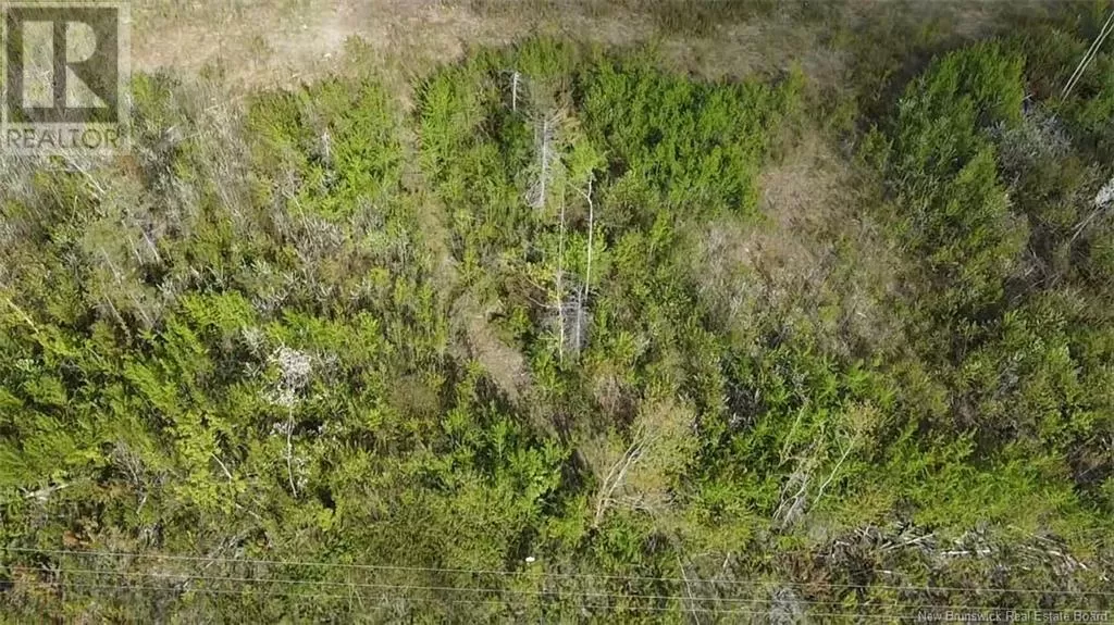 Lot 9 Tobin Road, Elmwood, New Brunswick E7N 2E1
